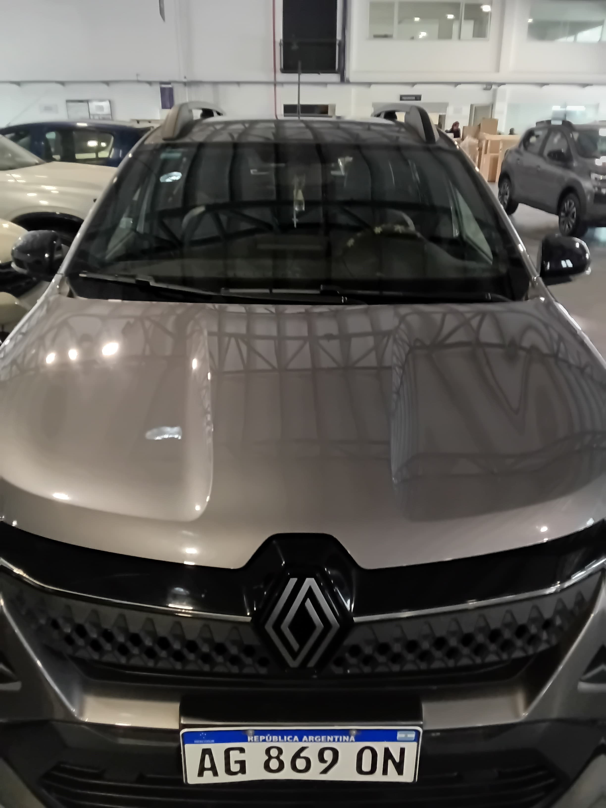 Renault Kardian - imagen 1